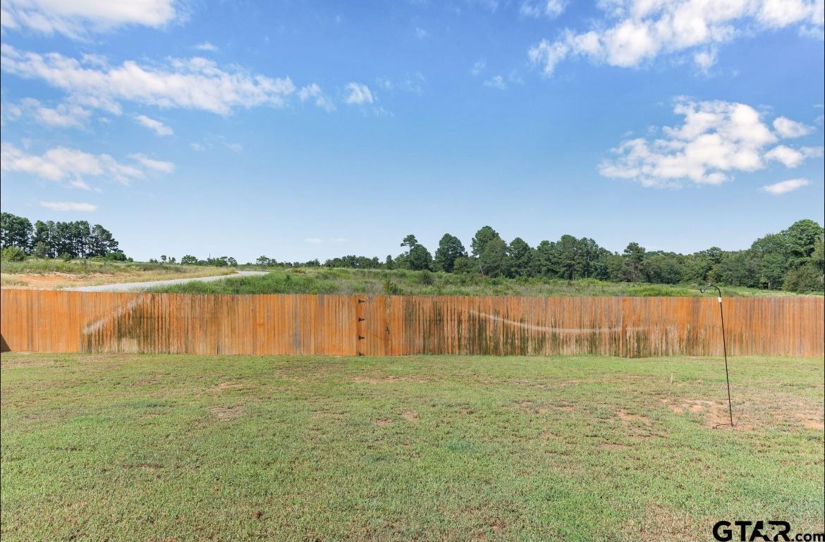12908 County Road 46 Tyler, TX 75704 - Photo 20 of 20 a view of a lake