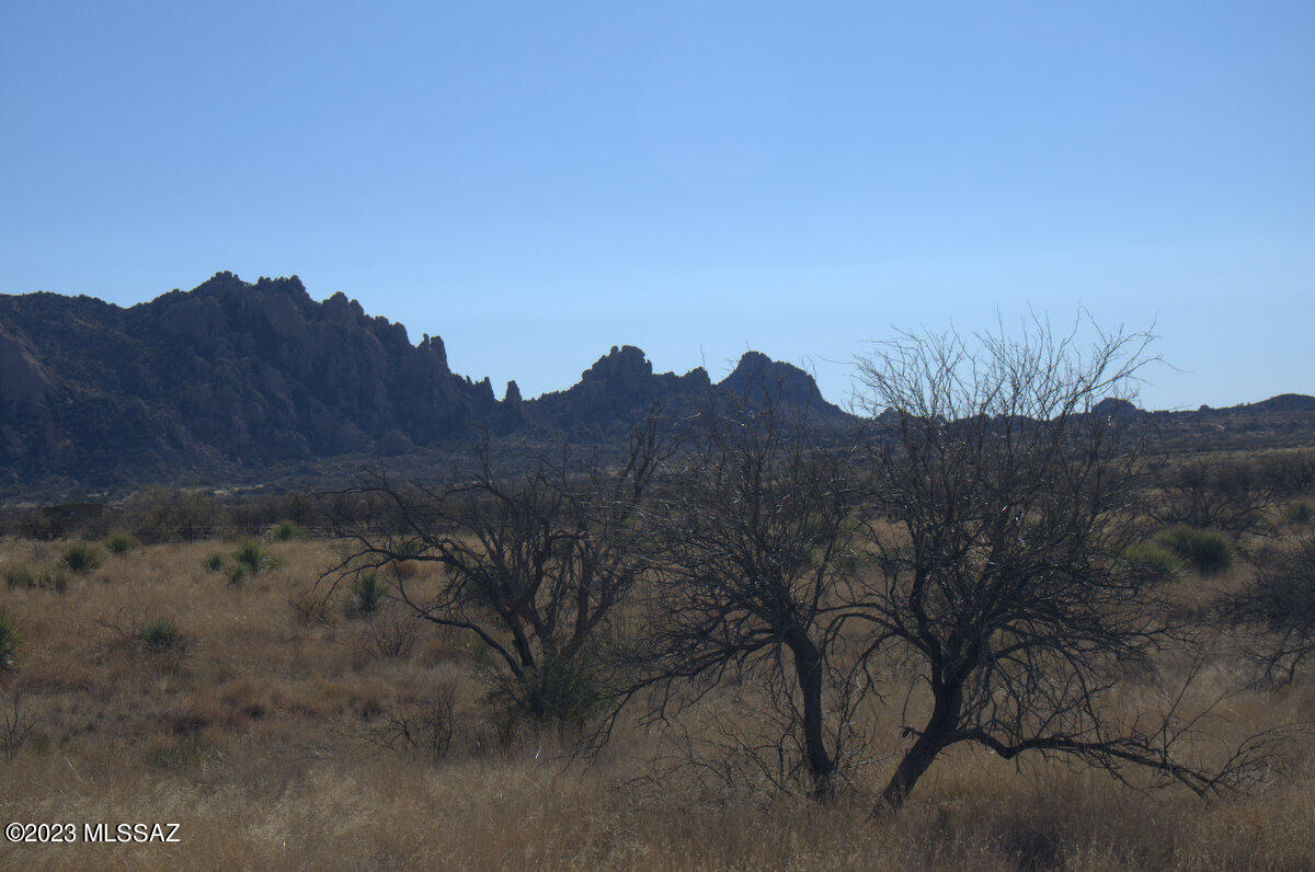 Lot 209 East Diamondback Road, Unit 209 St. David, AZ 85630 - Photo 26 of 31 Gallery Image 26