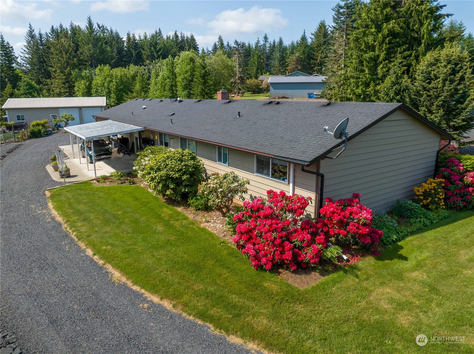 269 Curtis Hill Road Chehalis, WA 98532 - Photo 3 of 38 a view of a house with a big yard and large trees