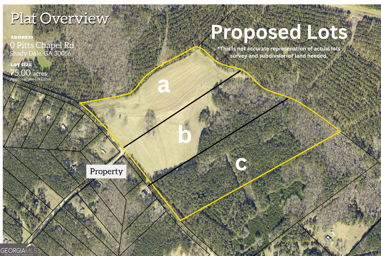 -lot A Pitts Chapel Road Monticello, GA 31064 - Photo 1 of 3