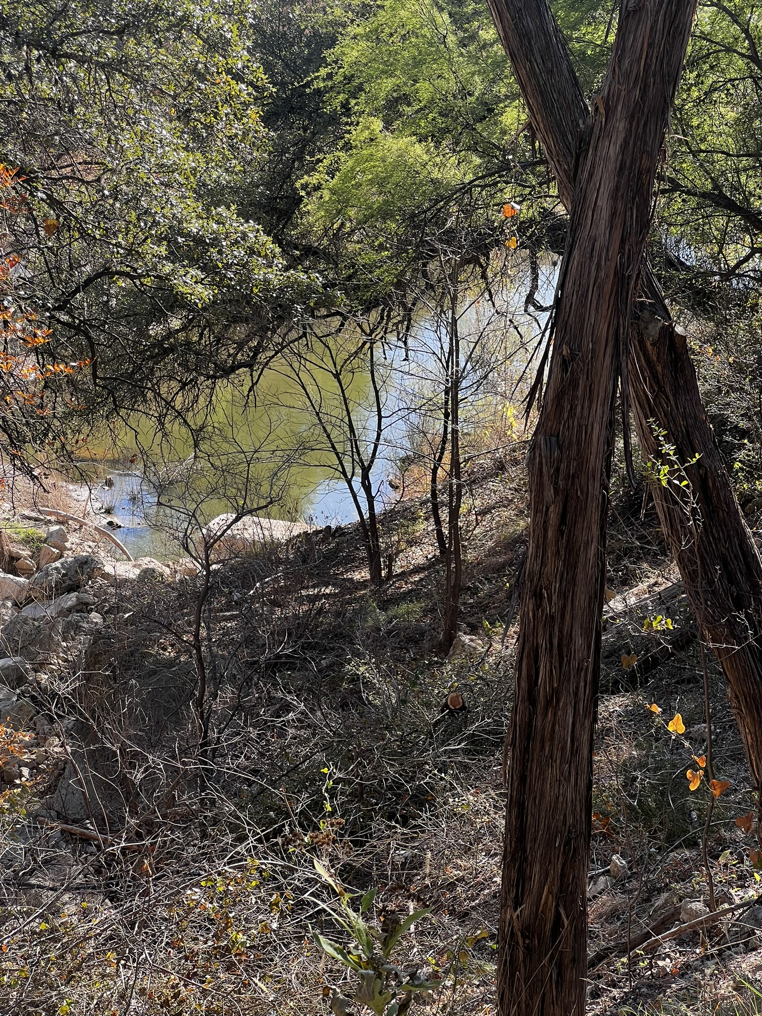 26809 Blue Cove Road Marble Falls, TX 78654 - Photo 1 of 20 View of lakefront from building site