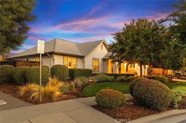 a view of banana tree