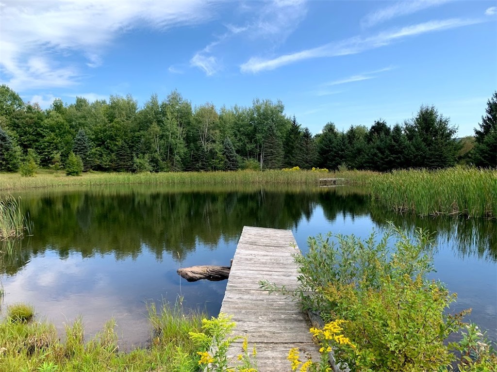 1111 Huska Road Delancey, NY 13752 - Photo 45 of 50