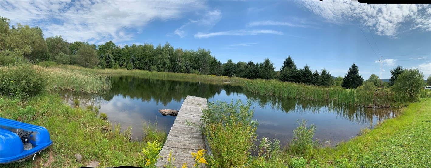 1111 Huska Road Delancey, NY 13752 - Photo 46 of 50