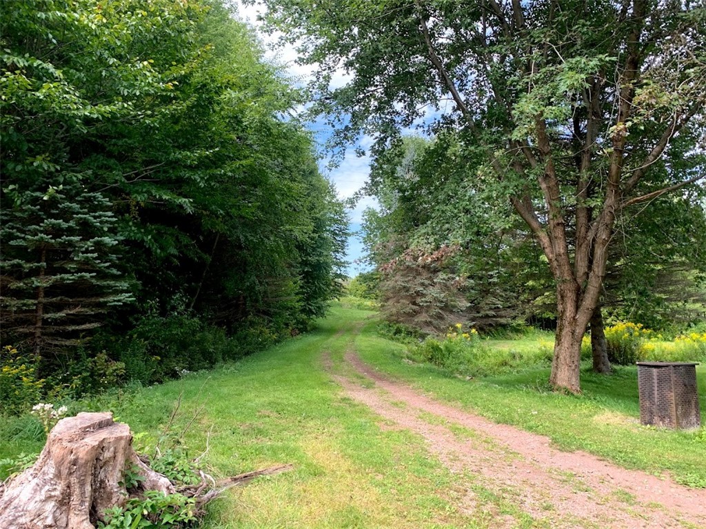 1111 Huska Road Delancey, NY 13752 - Photo 50 of 50