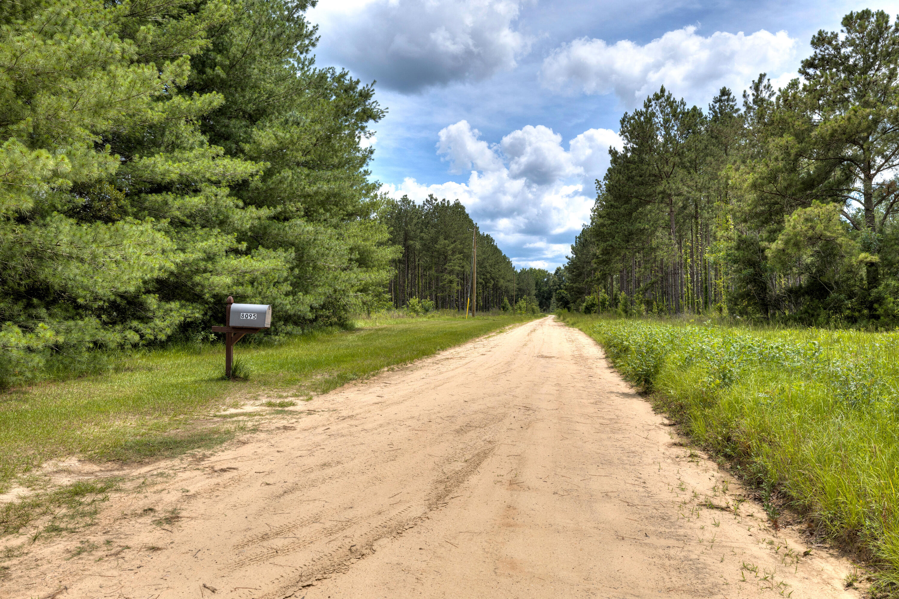 8095 Broom Factory Road Rembert, SC 29128 - Photo 9 of 45 07