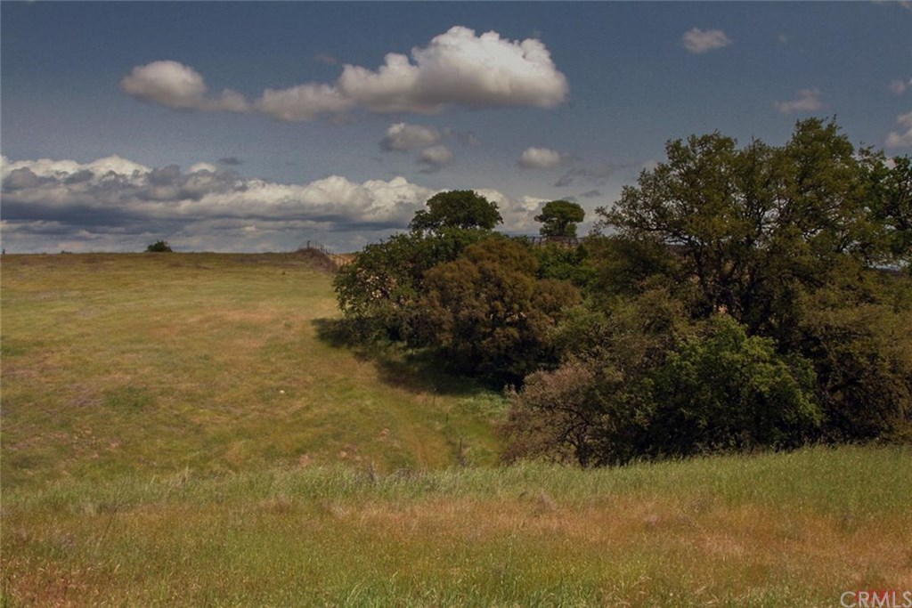 0 Barnes Road Paso Robles, CA 93446 - Photo 1 of 1 Gallery Image 1