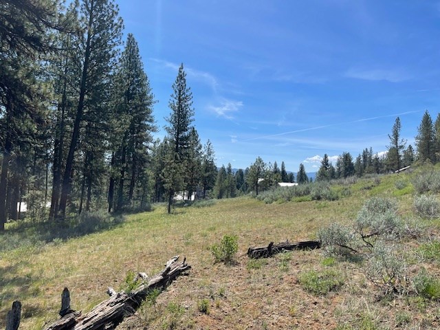 Lot 23 Hot Springs Road, Unit 23 New Meadows, ID 83654 - Photo 7 of 10