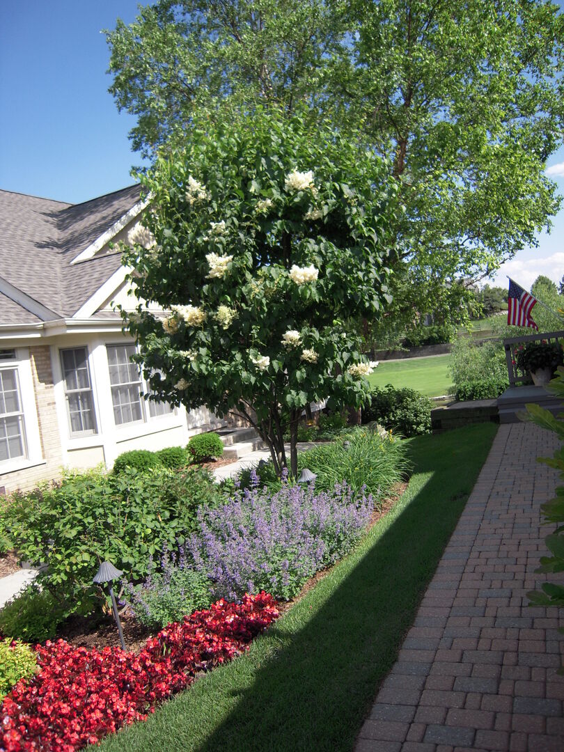 10513 Golf Road Orland Park, IL 60462 - Photo 4 of 6