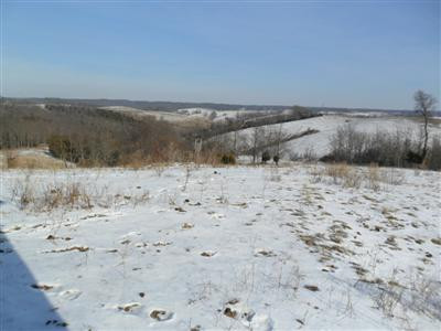 2384 Locust Grove Road Carlisle, KY 40311 - Photo 22 of 25 Photo 22