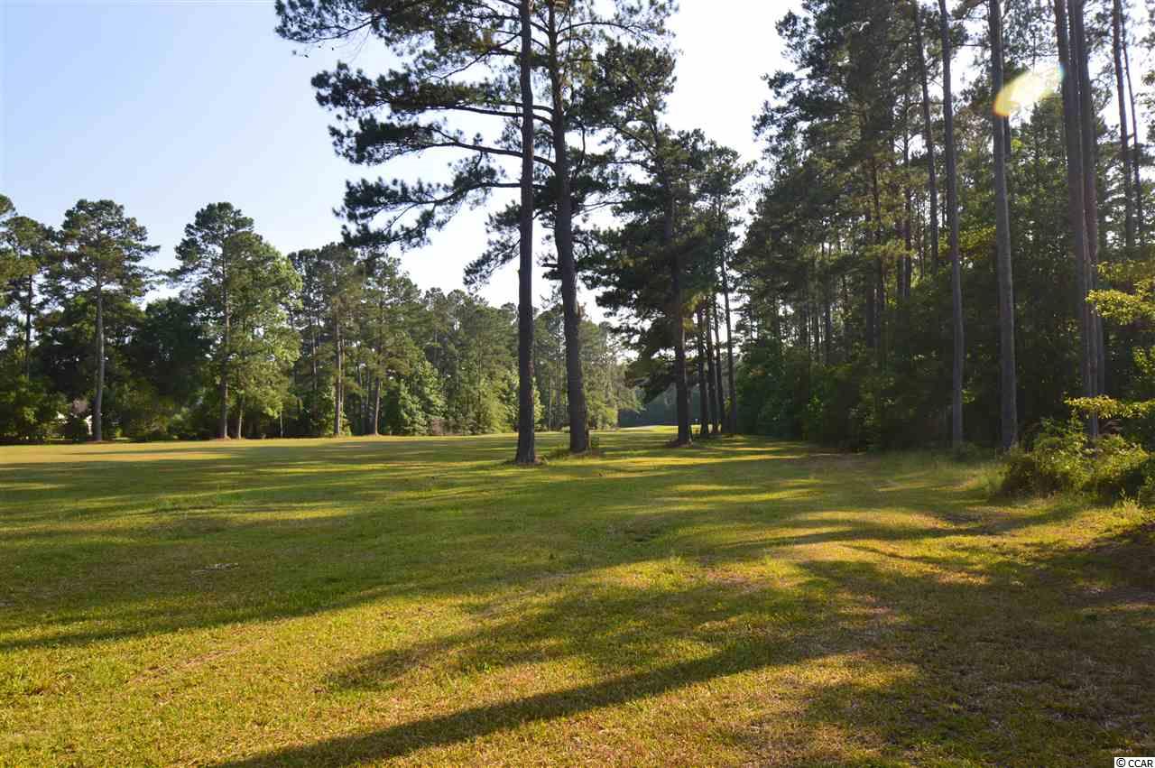 617 Francis Parker Road Georgetown, SC 29440 - Photo 28 of 32 Gallery Image 28