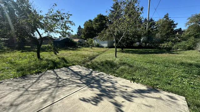 a view of backyard with green space