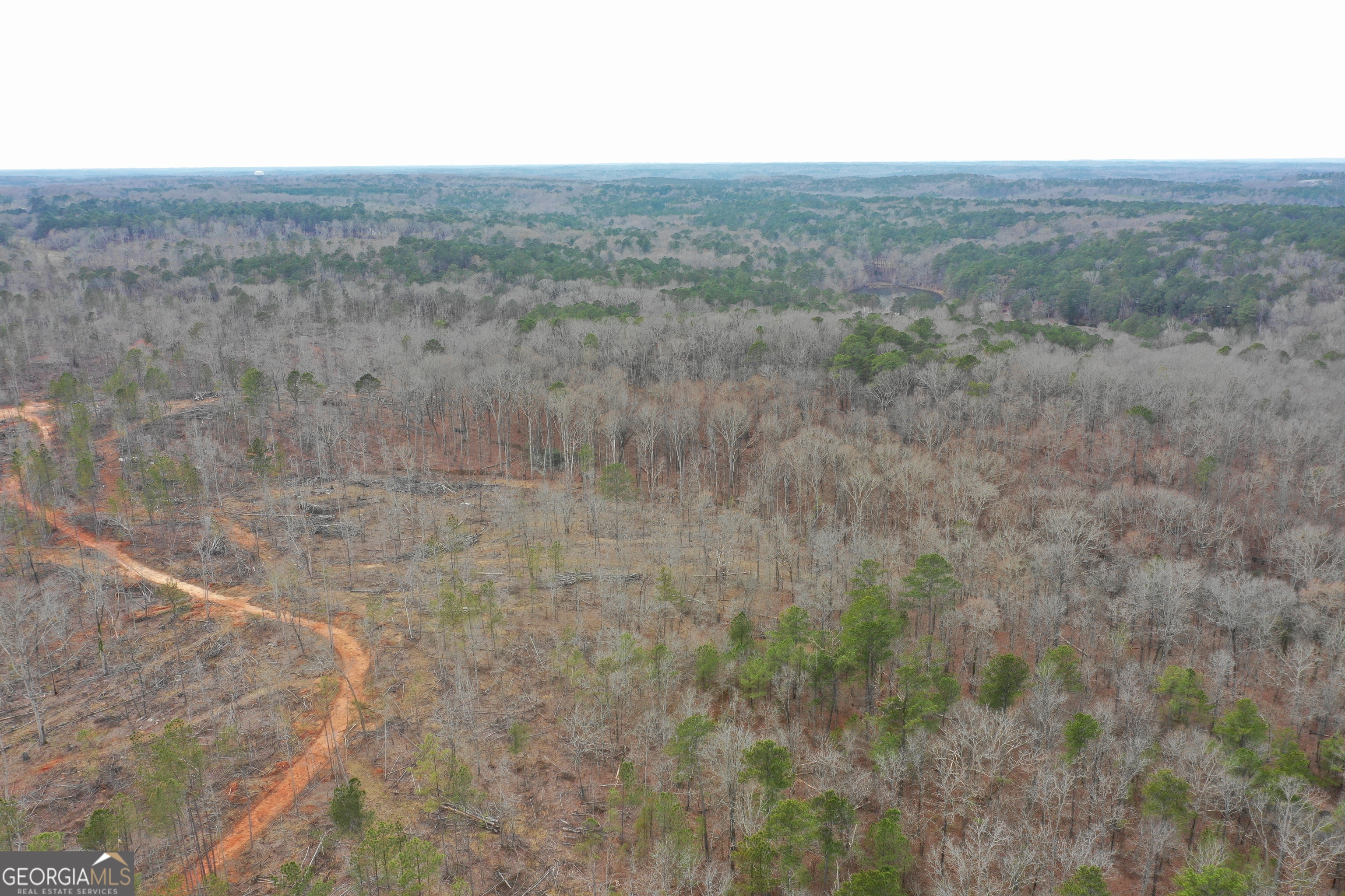 0 Southwest Union Church Road Stockbridge, GA 30281 - Photo 19 of 23 a view of a dry field