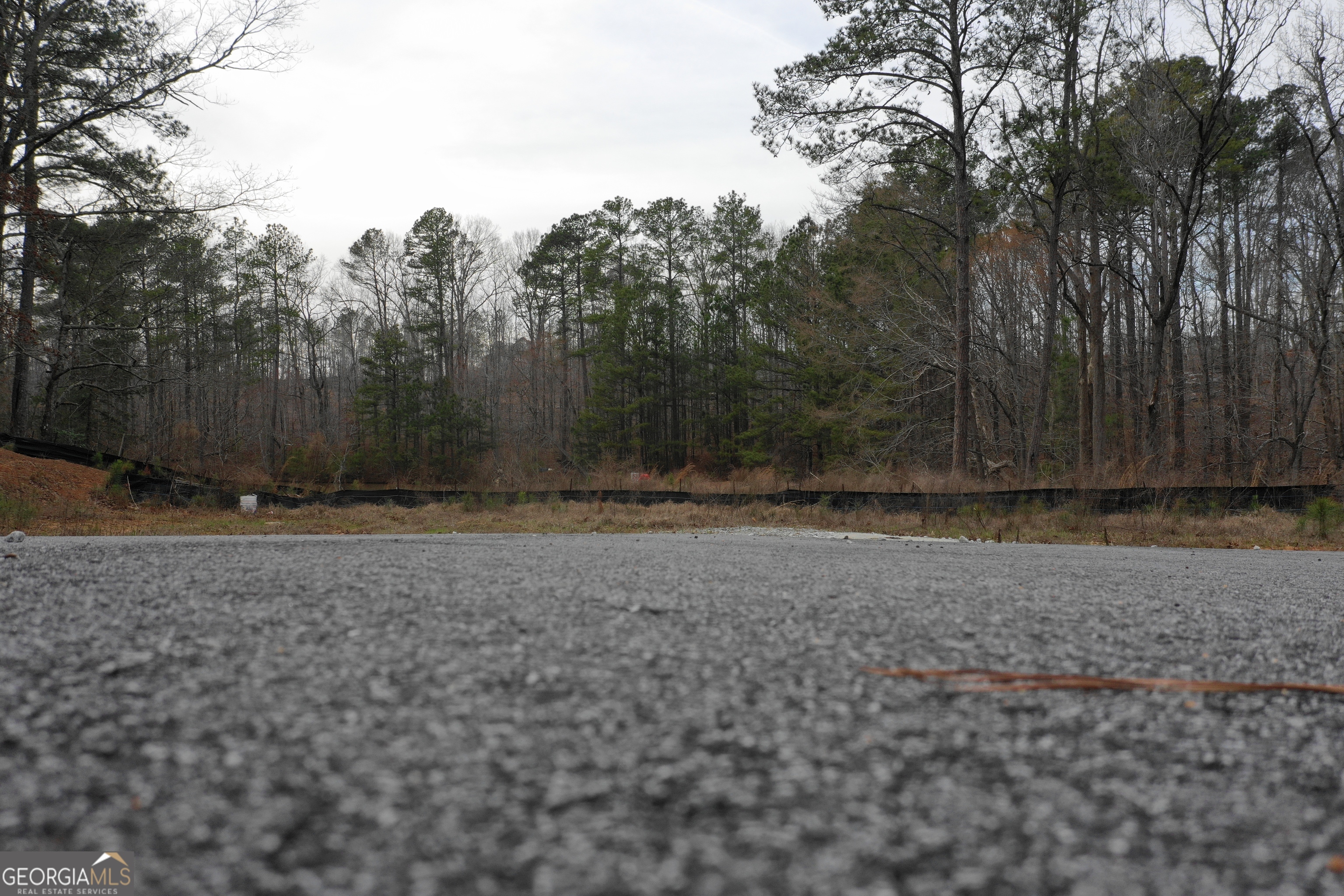 0 Southwest Union Church Road Stockbridge, GA 30281 - Photo 23 of 23 a view of outdoor space with yard