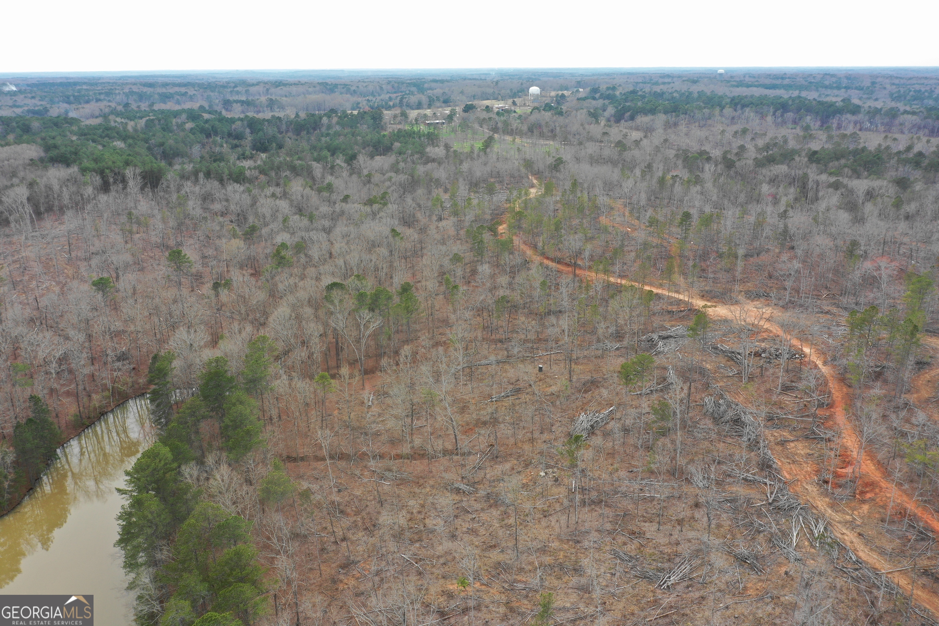 0 Southwest Union Church Road Stockbridge, GA 30281 - Photo 8 of 23 a view of a dry yard with green space