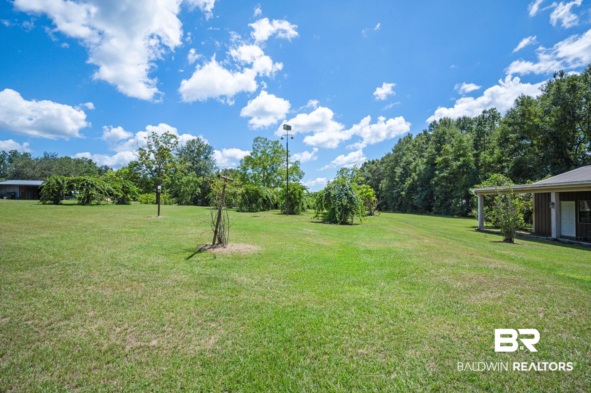 15880 Pine Grove Rd Extension West Bay Minette, AL 36507 - Photo 6 of 44 View of yard