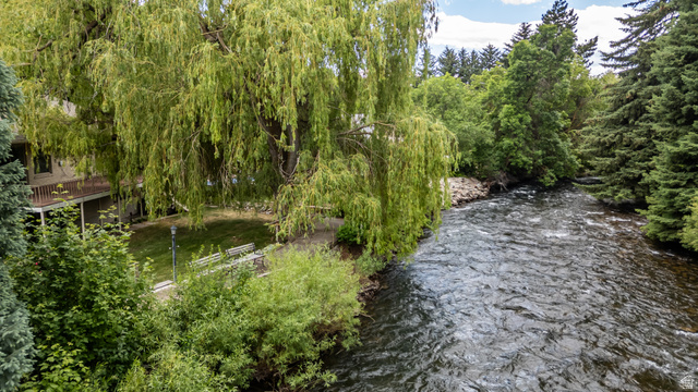 1365 Sumac Drive Logan, UT 84321 - Photo 6 of 84 Riverside property featuring mature trees and lush greenery
