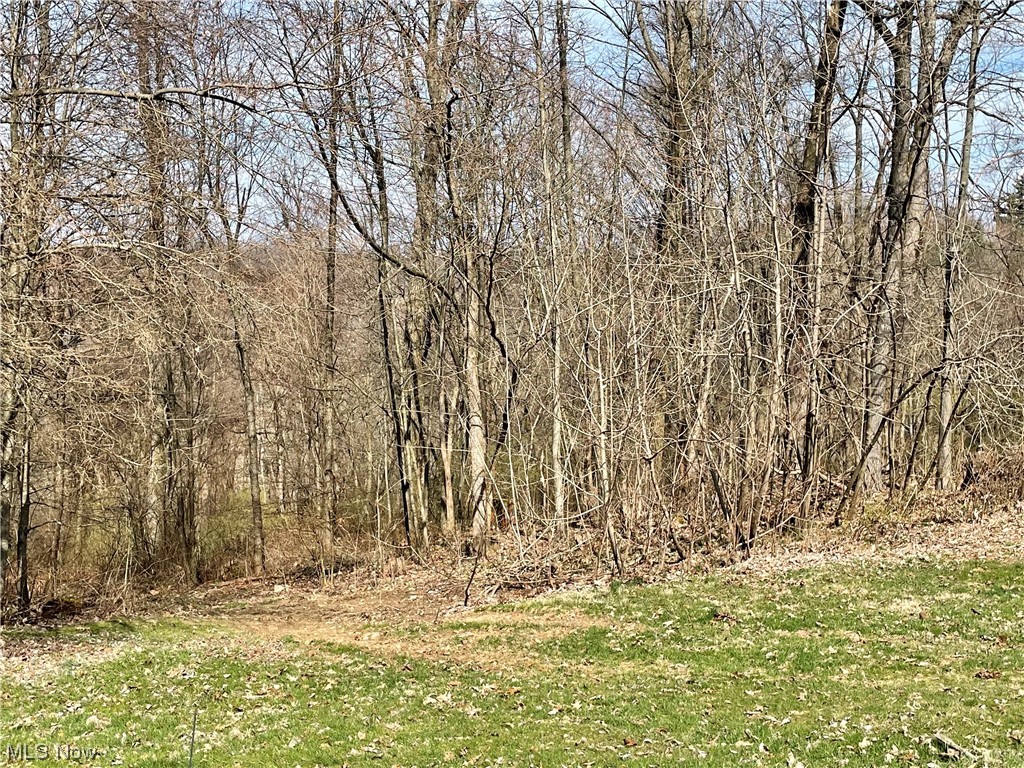 90200 Kilgore Ridge Road Scio, OH 43988 - Photo 19 of 21 Gallery Image 19