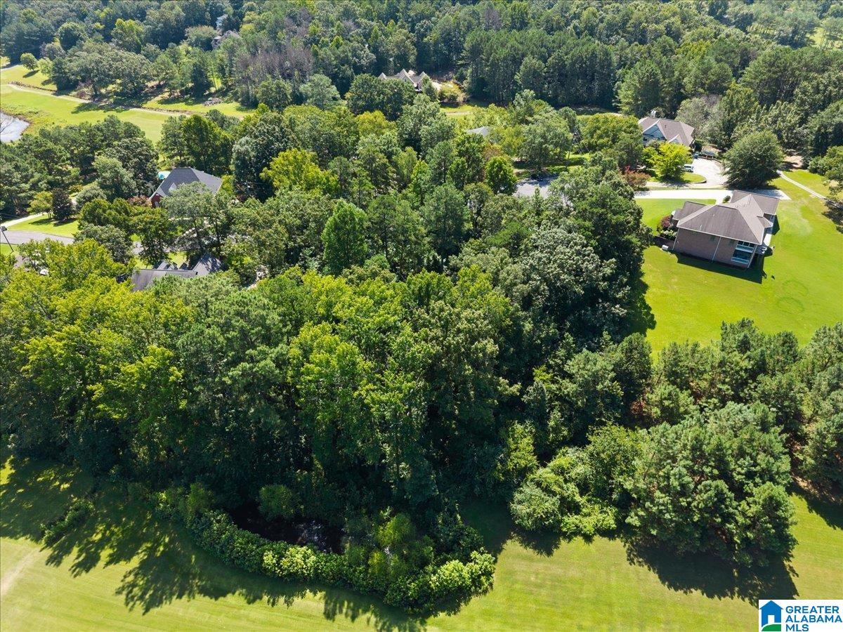0 Quail Ridge Road, Unit 12A 13A Oneonta, AL 35121 - Photo 9 of 12 Gallery Image 9
