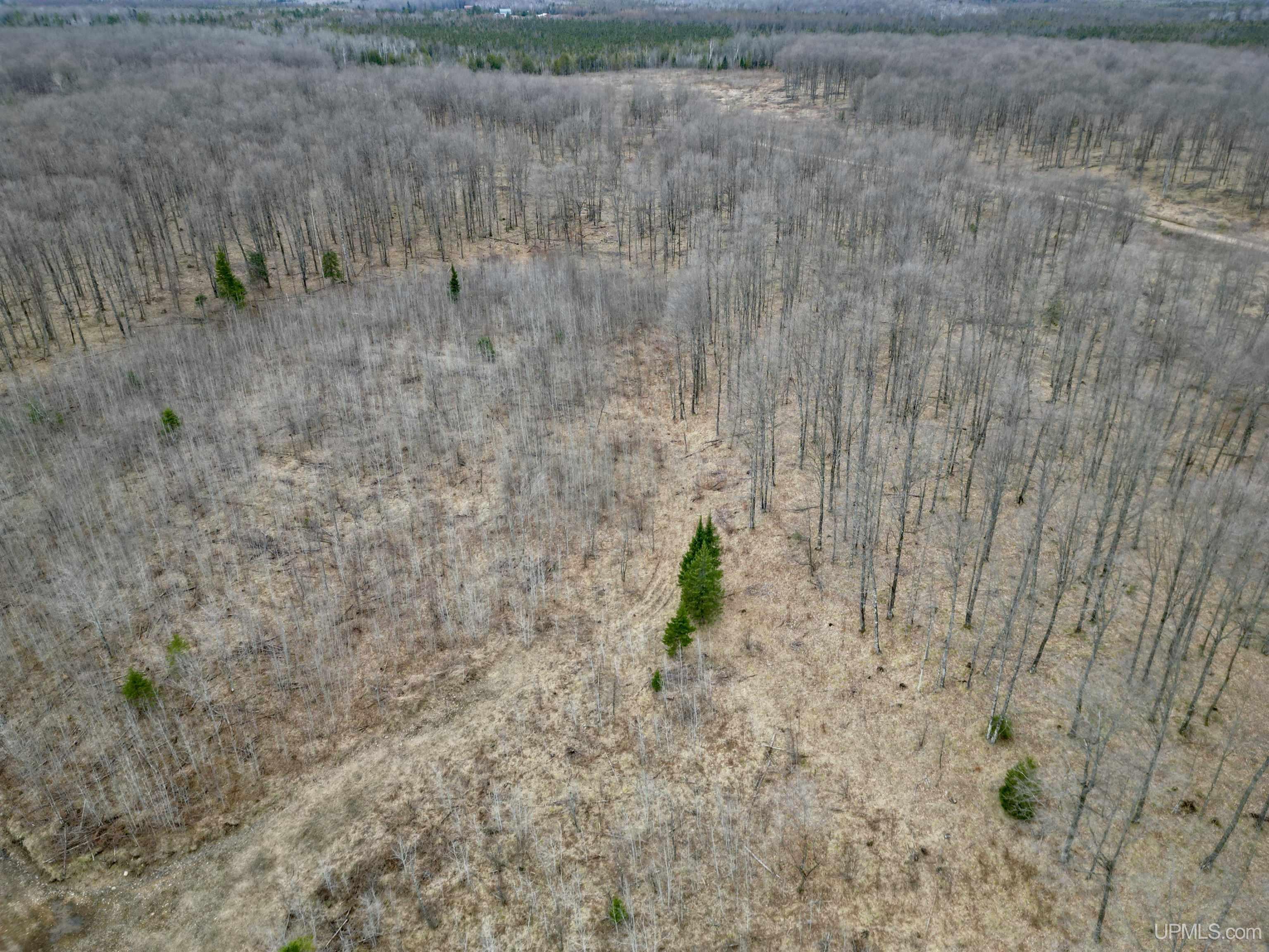 Tbd North Gaber Rd H Road Perronville, MI 49873 - Photo 12 of 14