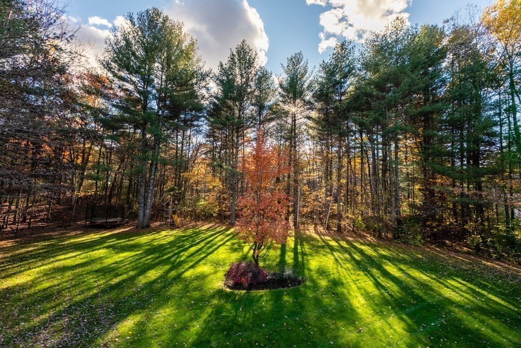 146 Davis Road Carlisle, MA 01741 - Photo 30 of 31 Gallery Image 30