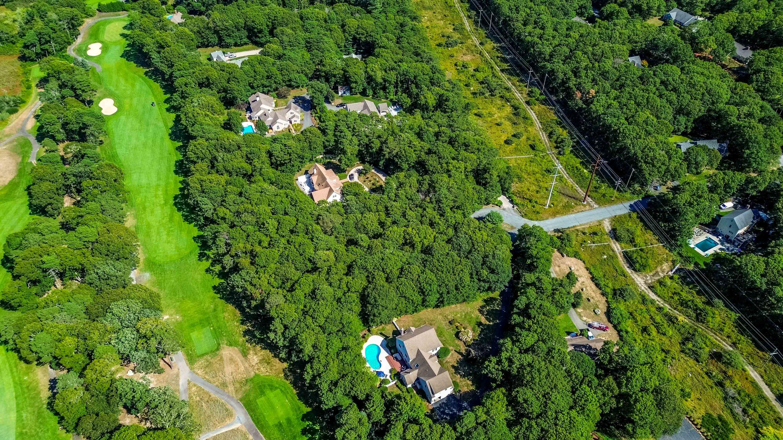 a close up of a plant