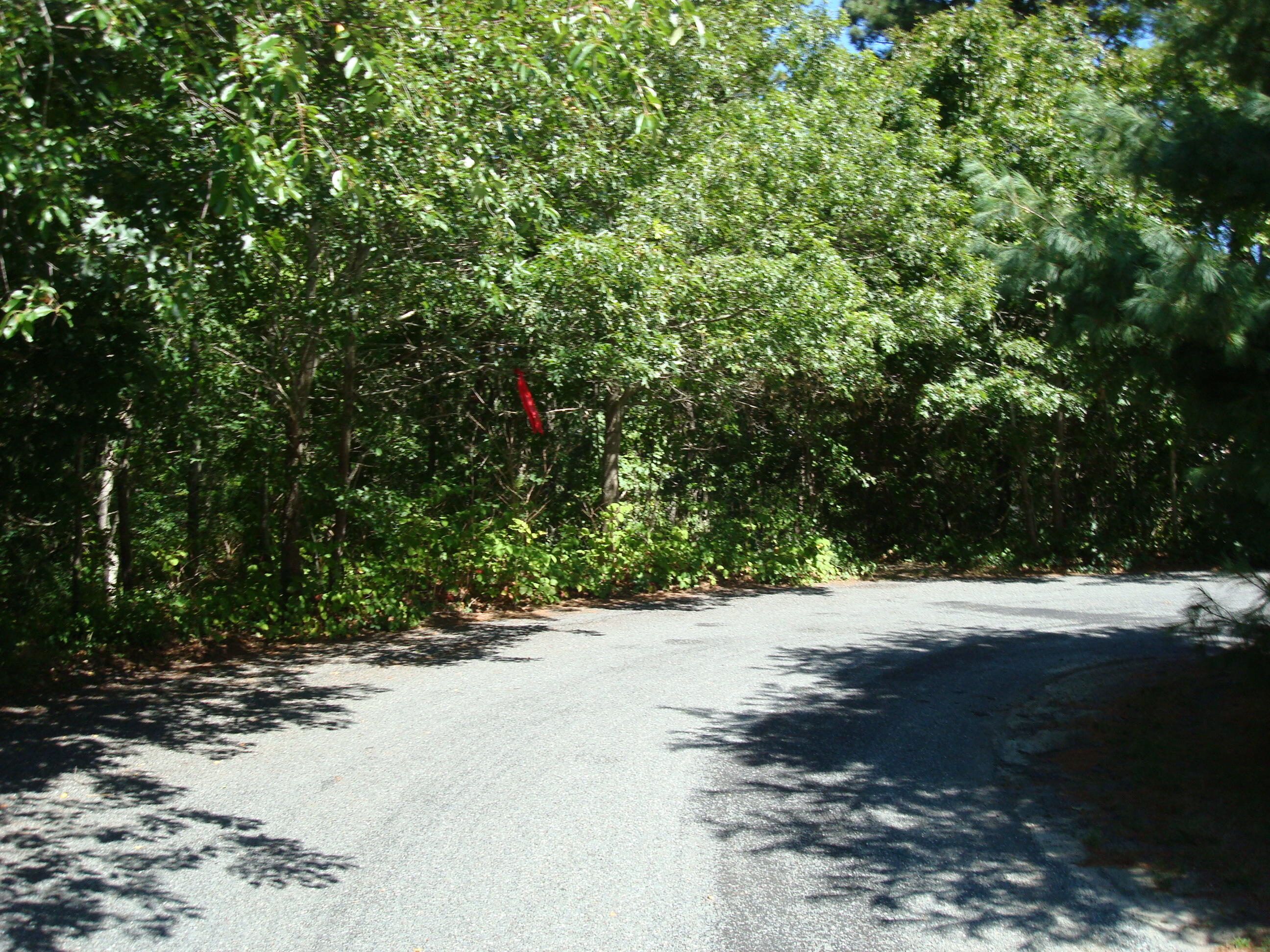 44 Iris Lane Barnstable, MA 02675 - Photo 5 of 13 a view of a road with a yard