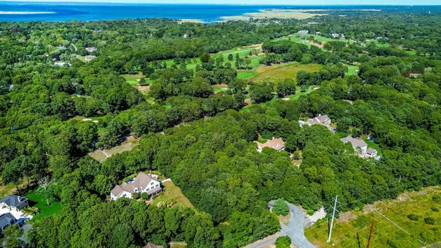 an aerial view of residential house with outdoor space and trees all around