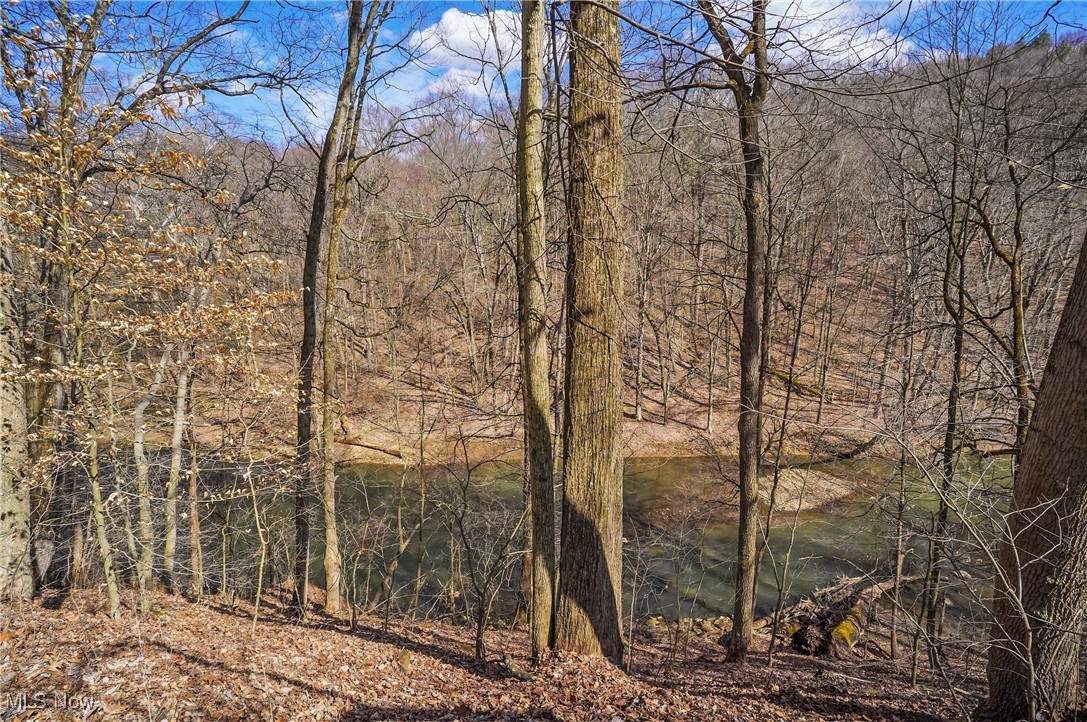 35977 Teegarden Road Salem, OH 44460 - Photo 49 of 50 View of local wilderness with a forest view