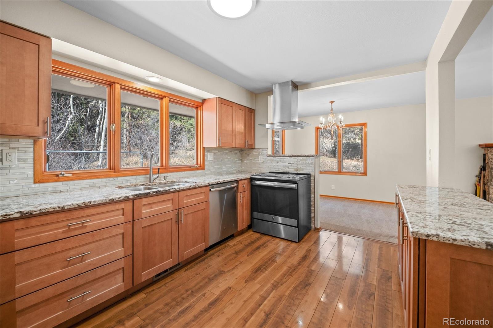 993 Fall River Road Idaho Springs, CO 80452 - Photo 12 of 34 Gallery Image 12