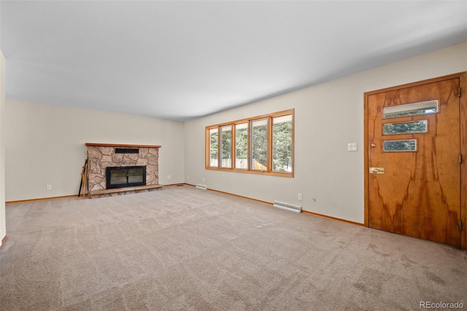 993 Fall River Road Idaho Springs, CO 80452 - Photo 4 of 34 Gallery Image 4