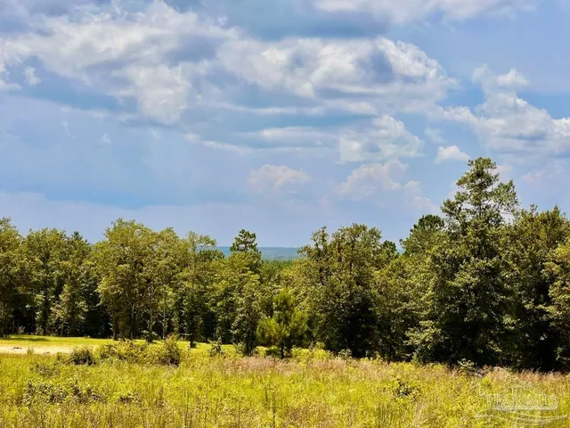 a view of a yard with a house in the background