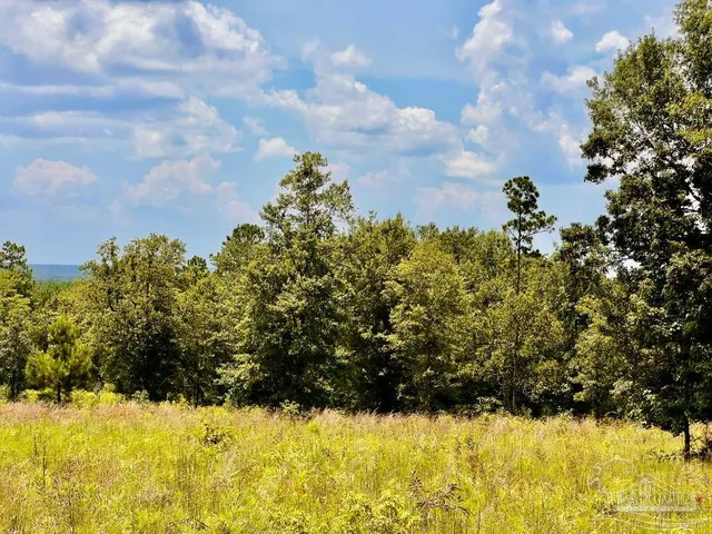 a view of a yard with an outdoor space