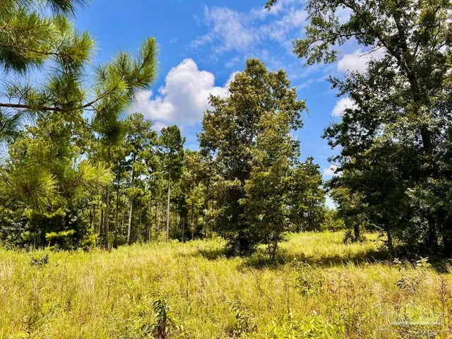 $199,900 | Lot 38-br Buffalo Ridge Road, Pace, FL 32571
