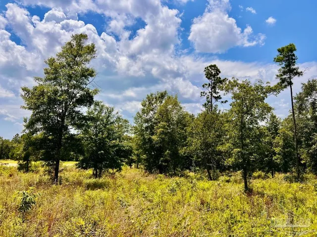 $199,900 | Lot 38-br Buffalo Ridge Road, Pace, FL 32571