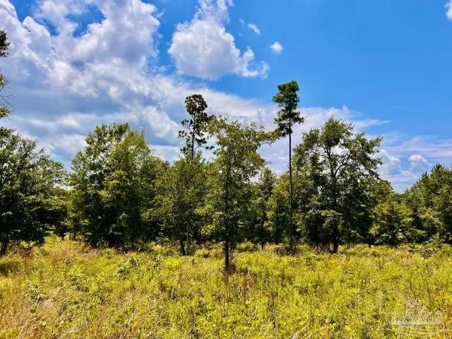 $199,900 | Lot 38-br Buffalo Ridge Road, Pace, FL 32571