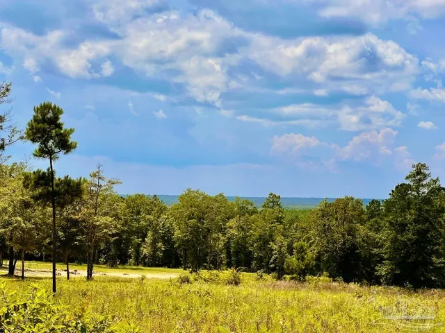 a view of a lake view