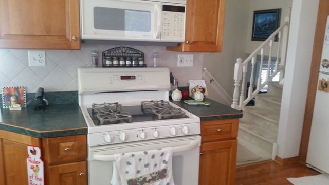 125 South Highview Avenue Addison, IL 60101 - Photo 4 of 25