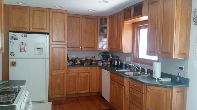 125 South Highview Avenue Addison, IL 60101 - Photo 5 of 25