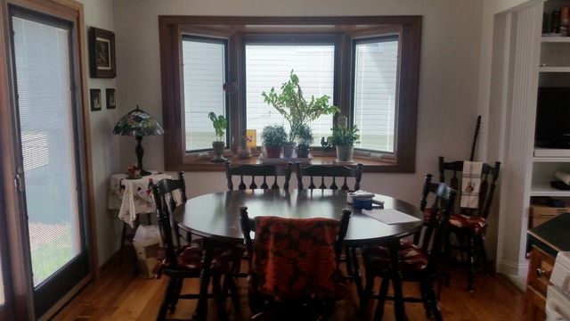 125 South Highview Avenue Addison, IL 60101 - Photo 6 of 25