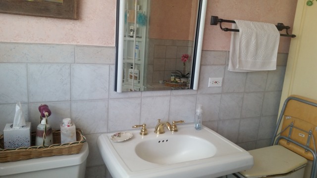 125 South Highview Avenue Addison, IL 60101 - Photo 8 of 25