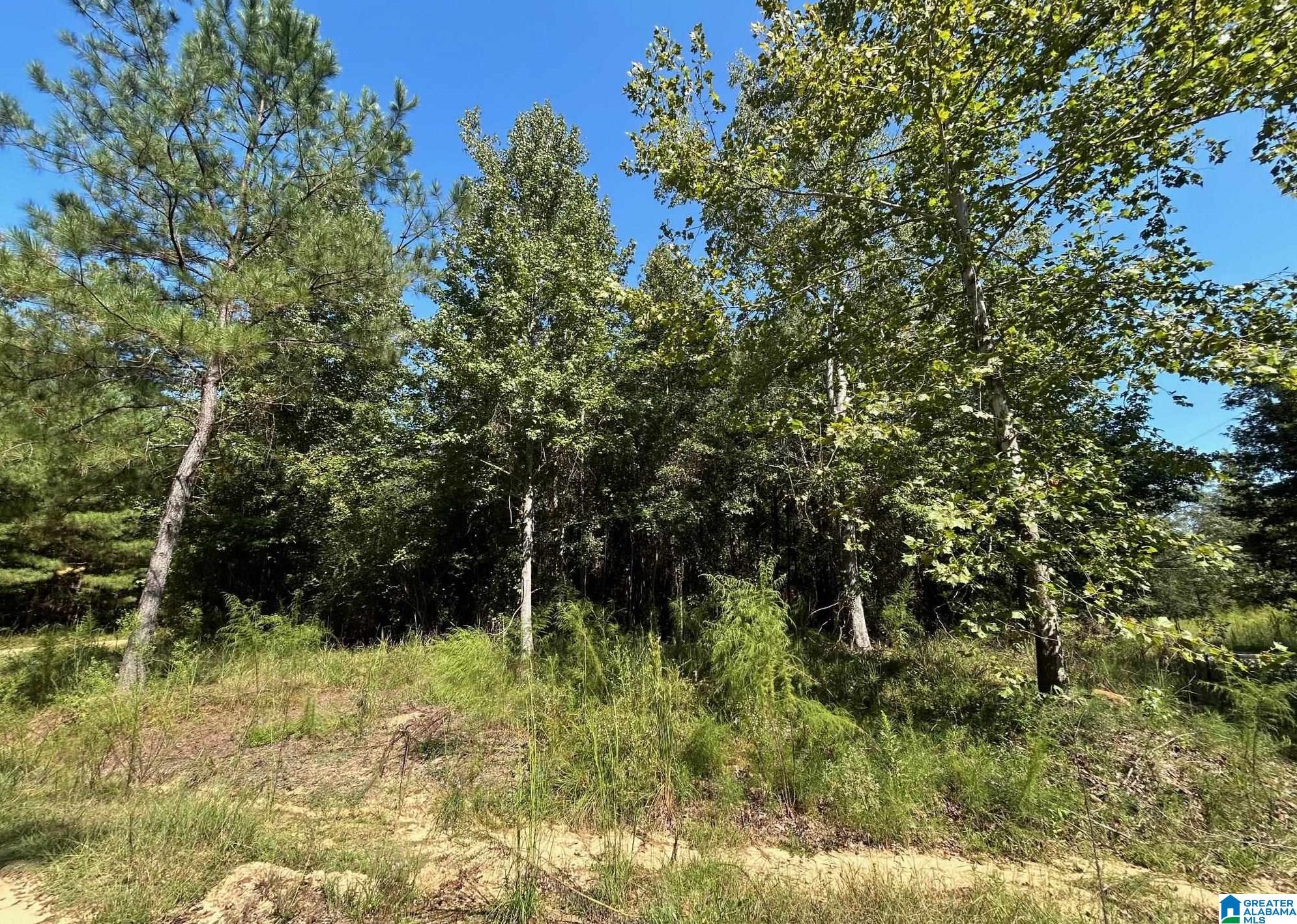 Rocky View Road West Blocton, AL 35184 - Photo 2 of 7
