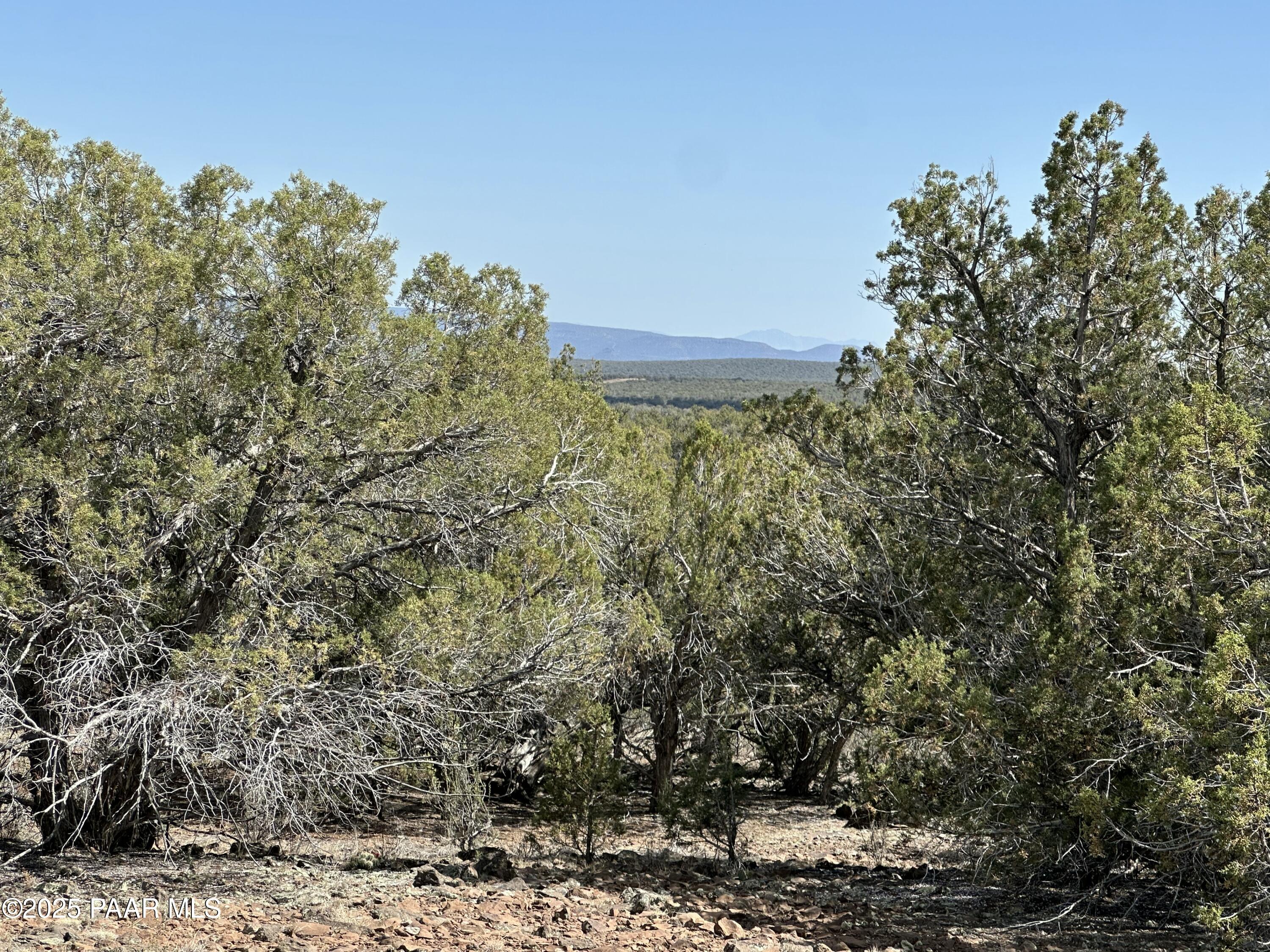 972 Westwood Ranch Williams, AZ 86046 - Photo 1 of 8 IMG_8664