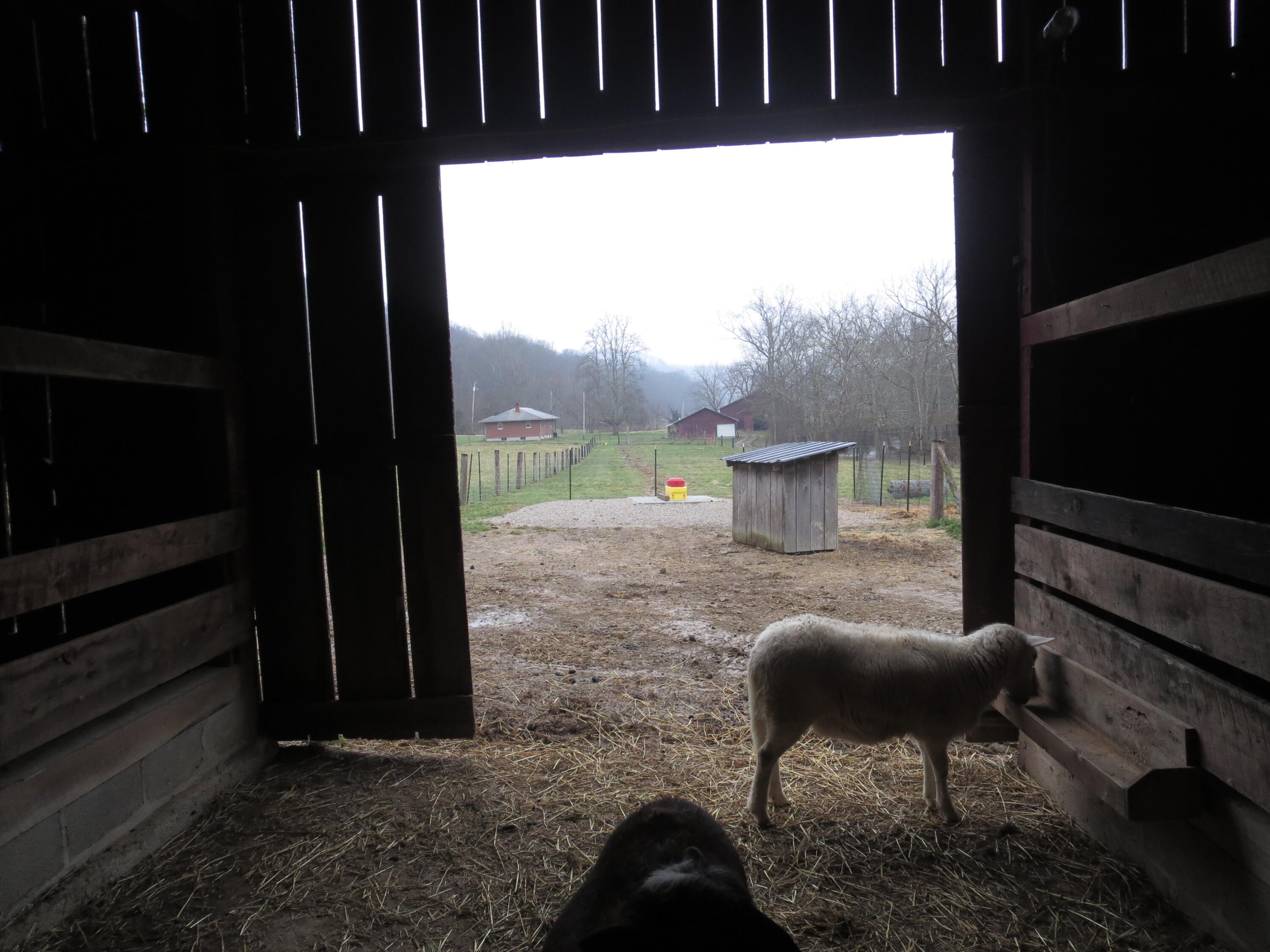 2875 Pointer Creek Road Science Hill, KY 42553 - Photo 71 of 81 Inside Barn #2