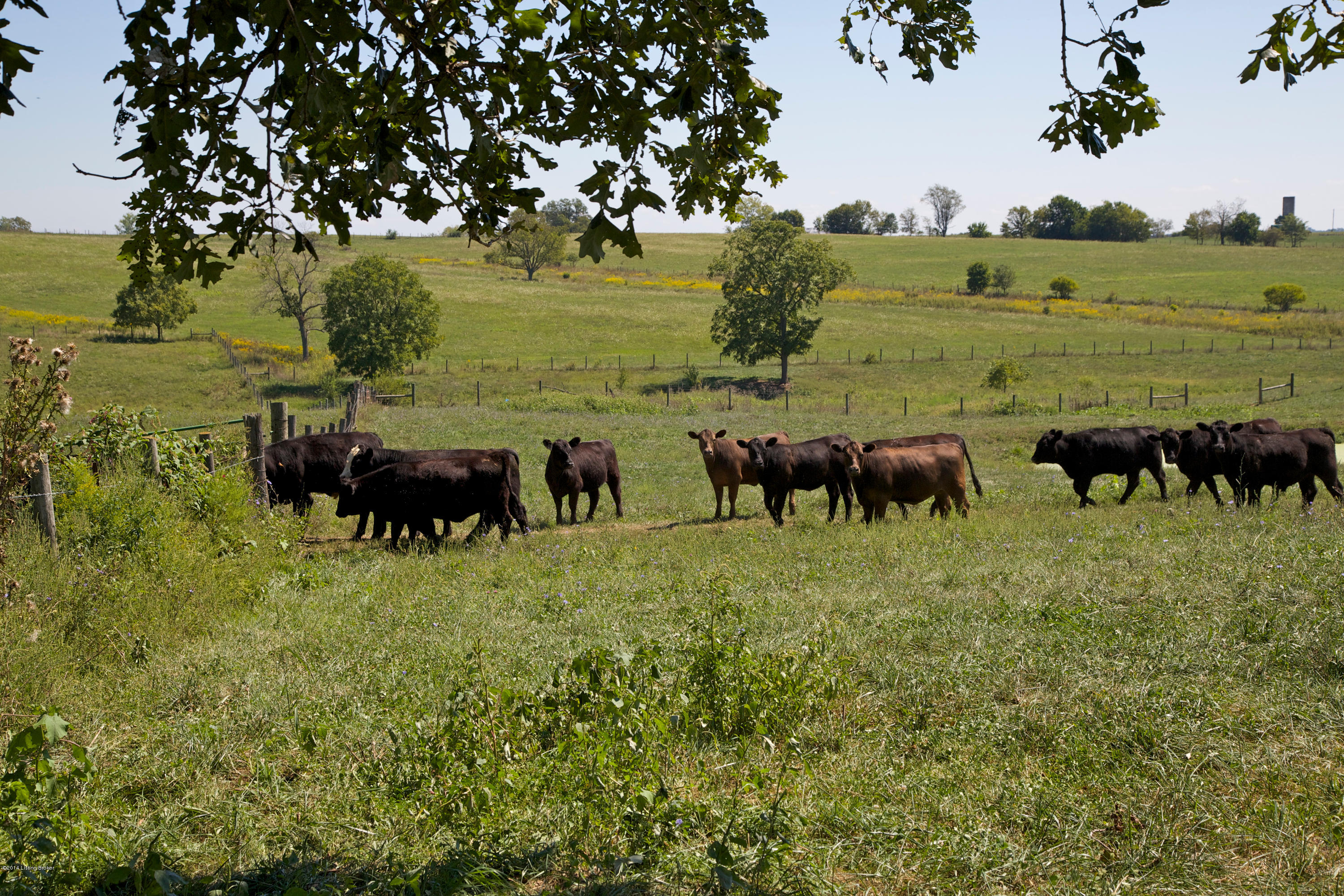 1530 Campbellsburg Road New Castle, KY 40050 - Photo 16 of 19 Campbellsburg_17