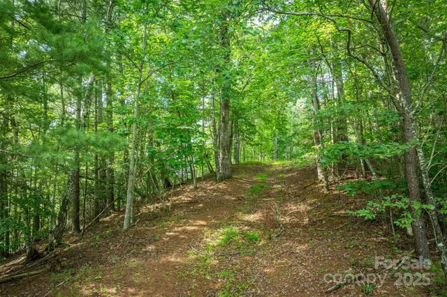 a big yard with lots of green space and trees