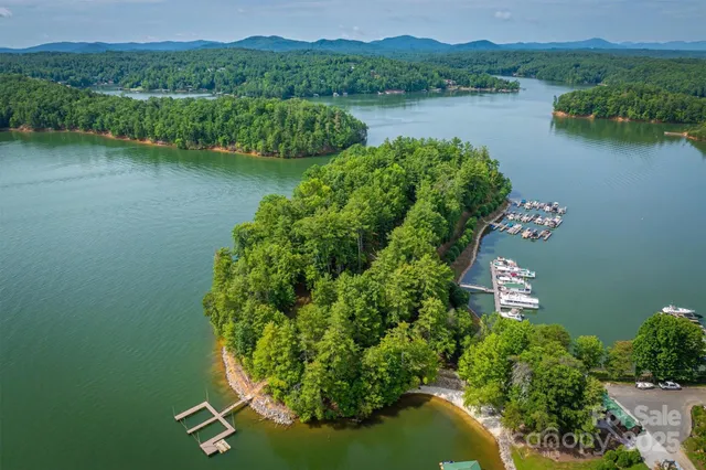 an aerial view of a residential houses with outdoor space and lake view