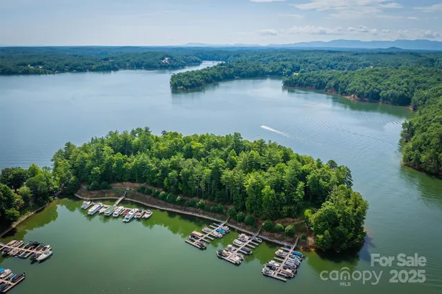an aerial view of lake residential house with outdoor space and trees around
