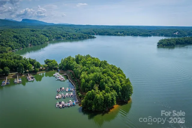 a view of lake with green space