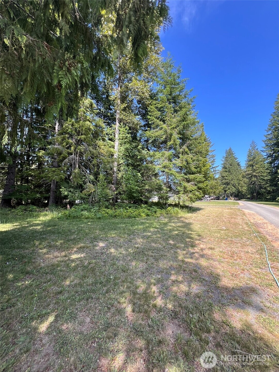 0 Shelton Road Randle, WA 98377 - Photo 7 of 11 a view of outdoor space with trees all around